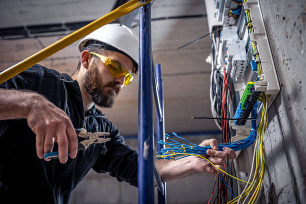 Best Electric Panel Repair  in La Crescent, MN
